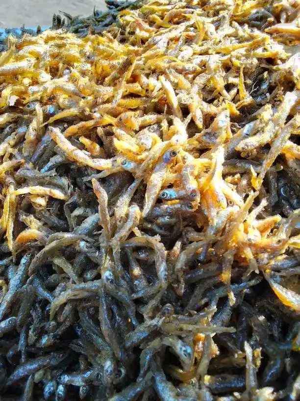 A picture of DAGAA WA MWANZA MAWASILIANO PIGA SIMU WHAT SAP NAMBA 255759997513