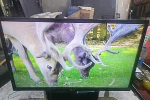 A picture of LG 32 32 INCHES FULL HD