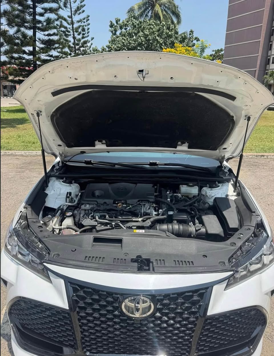 A picture of Fresh From Boat 2021 Toyota Avalon XLE
