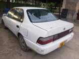 A picture of Corolla