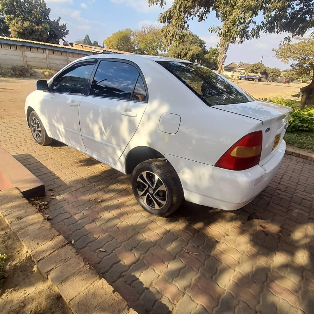 used toyota corolla