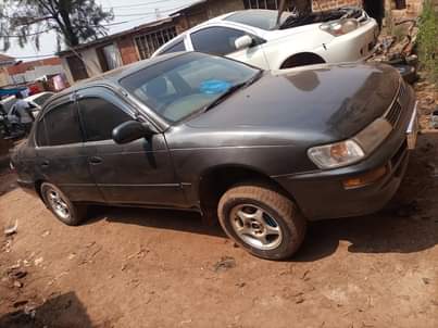 A picture of Corolla Kikumi For Sale 0754863448 