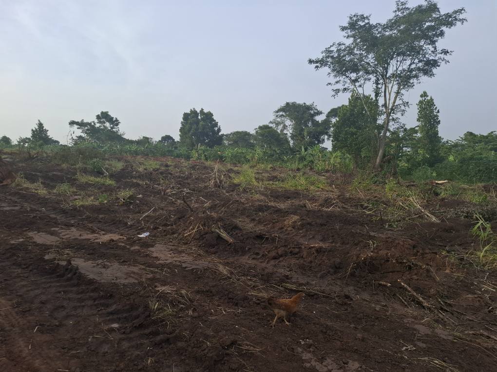 A picture of Plots for sale in luwero