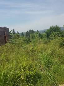 A picture of PLOTS IN NSAGGU