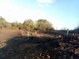A picture of 0656242352 0622150081