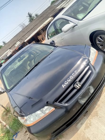 A picture of HONDA baby boy