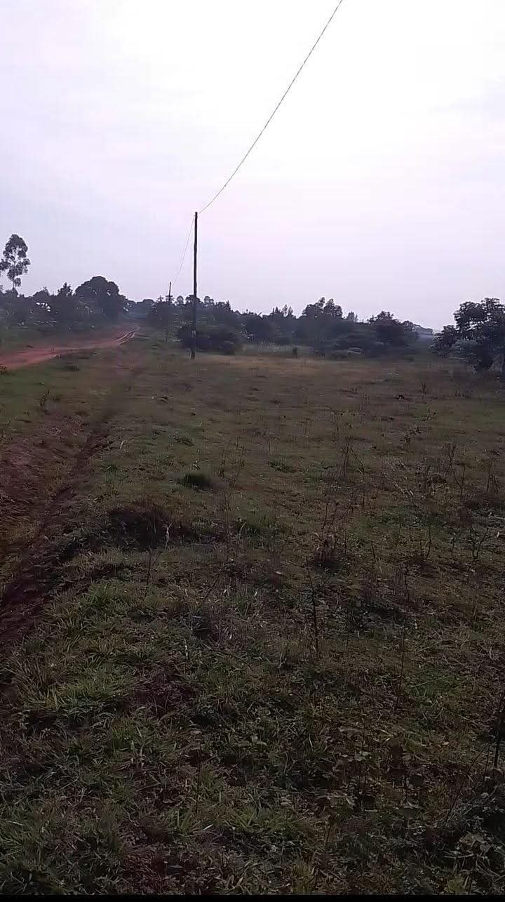 A picture of Plots of land for sale