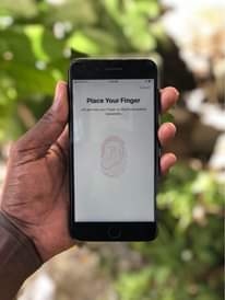 A picture of iPhone 7 Plus