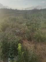 A picture of KIWANJA KINAUZWA