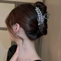 A picture of Metal Hair claw clips
