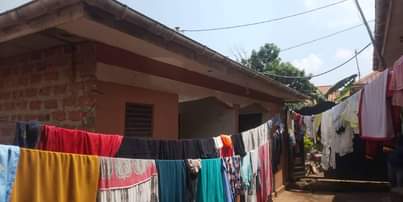 A picture of 5 well finished single rental units for sale 32m Kawanda