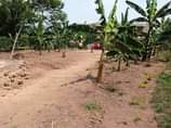 A picture of PLOTS WITH READY LAND TITLES kyapa ku meza IS UP