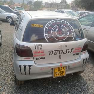 A picture of Vitz
