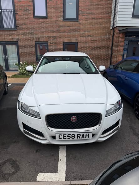 jaguar