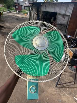 fans