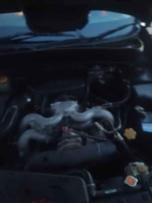A picture of 0658009171