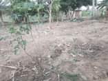 A picture of VINAUZWA MILIONI 23 00 000