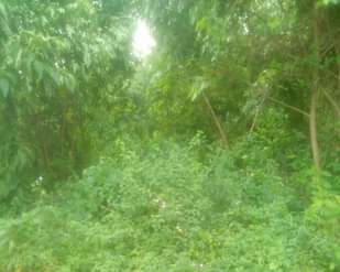 A picture of Land for sale