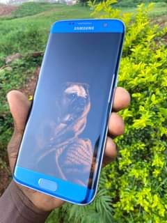 A picture of Samsung Galaxy S7 Edge