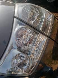 A picture of Harrier kawundo