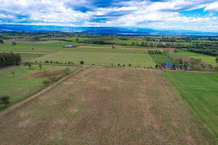 property with title deeds