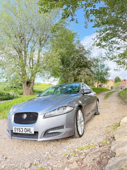 jaguar