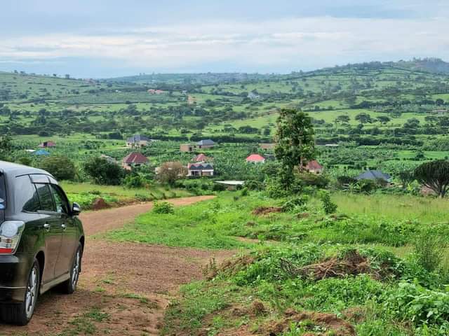 A picture of Land