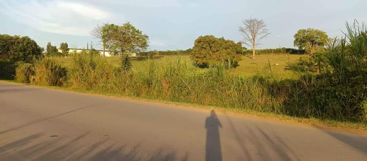 A picture of 15 ACRES AT MATUGGA TOUCHING TARMAC. 350m acre.