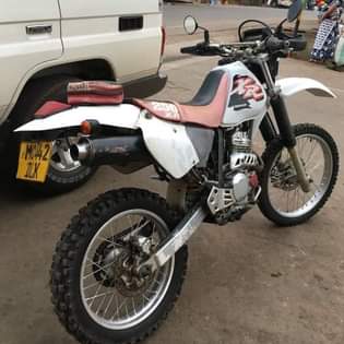 A picture of Pipiki XR 250