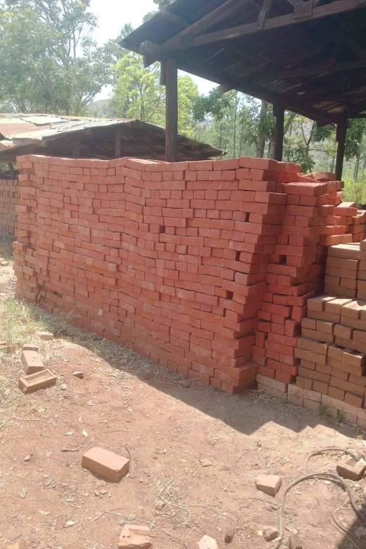 bricks