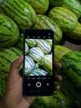 A picture of Infinix hot12i