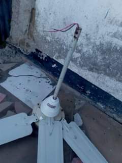 A picture of NAUZ PANGA BOI SIZE YA KATI USHER 0786494436