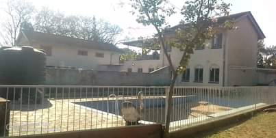 rooms to rent harare
