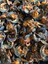 A picture of We will be drying 250 piece of snail for our