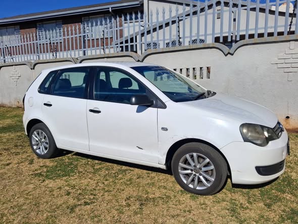 polo vivo