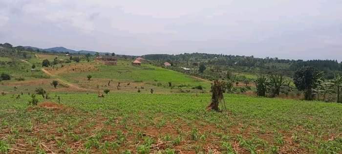 houses entebbe