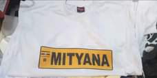 A picture of T shirt
