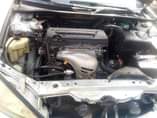 A picture of Camry Big Daddy
