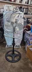 A picture of Fans