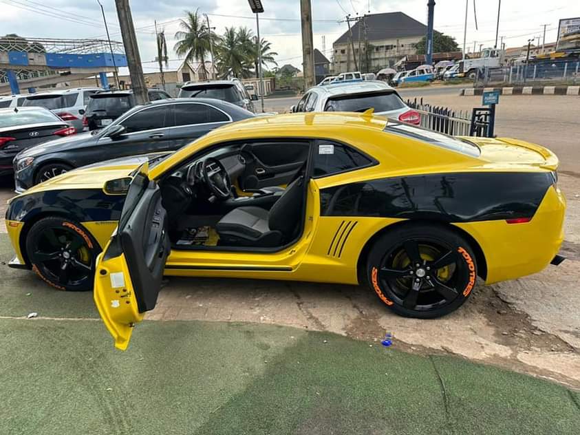 A picture of CAMARO