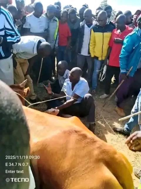A picture of Kaze kwamuganga makoma 1 kubibwe turabagaruriza 2 kubafise inyatsi yokutaronka