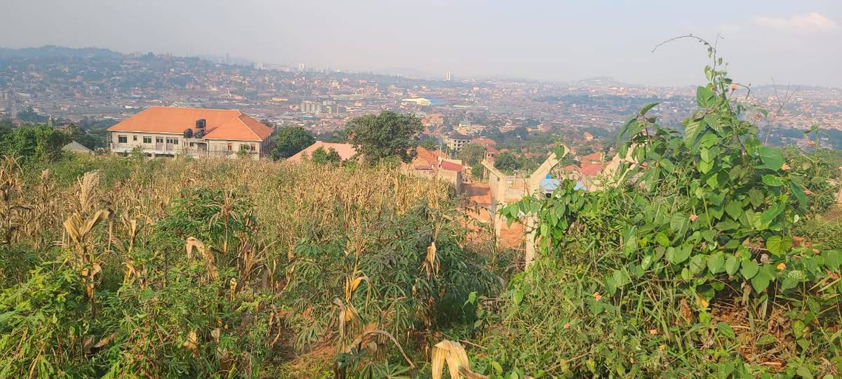 Muwanguzi D.