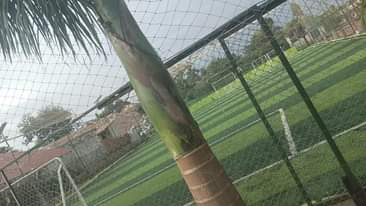 A picture of Artificial turf Grass carpets 