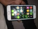 A picture of  iPhone 7