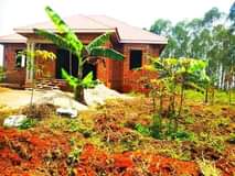 A picture of KAKIRI KIKANDWA ESTATE 50BY100 WITH READY LAND TITLE AT 10M