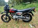 A picture of BOXER KALI SANA BEI 1550000