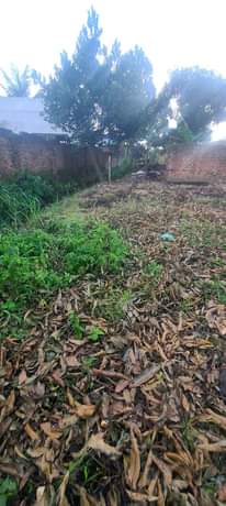 A picture of Plots on sale