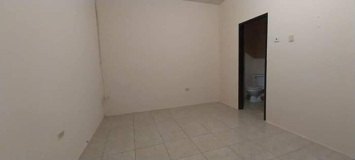 Rental P.