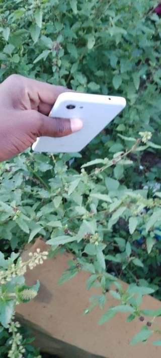 A picture of Google pixel 3 a XL