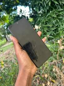 A picture of CRICKET OVATION 2
